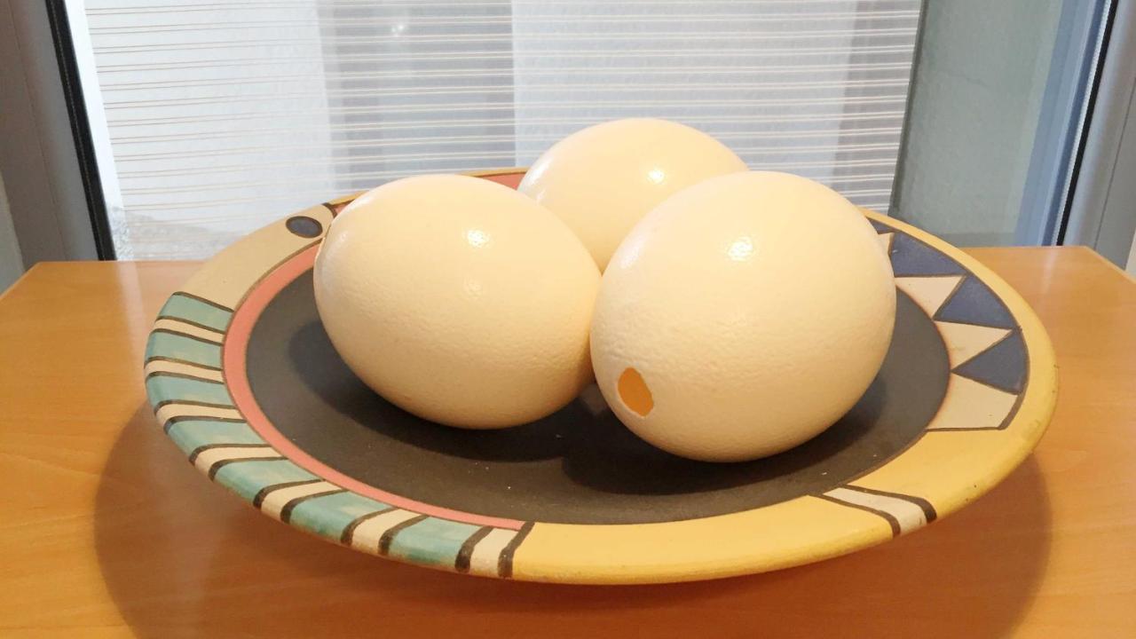 Oppenheim Loftsアパートメント エクステリア 写真